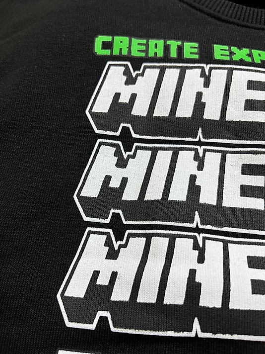 Minecraft Takım